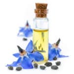 borage oil in cosmetics