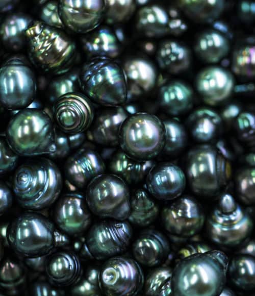 tahitian black pearl used for cosmetics